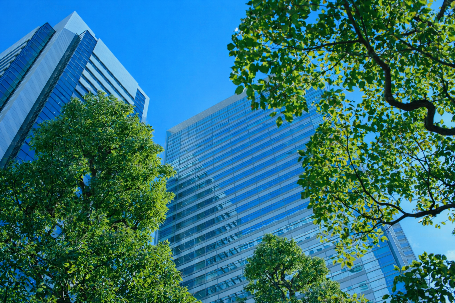 Modern sustainable office building